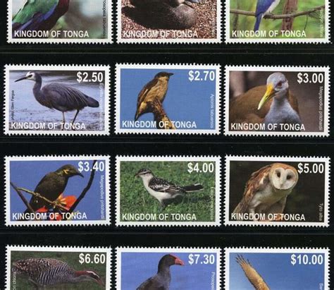 bird watching  tonga opulent routes