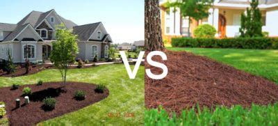 Pine Straw vs Mulch | Which One Should I Use? [Pros & Cons]