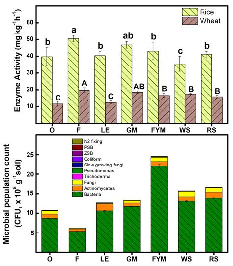 Frontiers Integration Of Organics In Nutrient Management For Rice Wheat System Improves