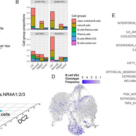 Cd4⁺ T Cell Heterogeneity A Umap Visualization Of Cd4⁺ T Cell