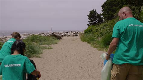 Group of volunteers cleaning up beach 2569399 Stock Video at Vecteezy