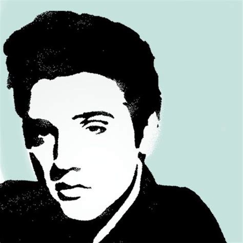 Elvis Presley Stencil Wall Art Craft Decor Painting Iconic Ideal