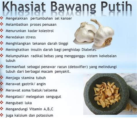 artikel kesehatan manfaat bawang putih  kesehatan