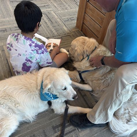Rocky Mountain Therapy Dogs - Volunteers needed!! (without dogs) Adults