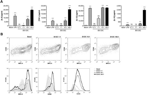 In Vitro Activation And Cytokine Production Of Bm Dcs By Stimulation