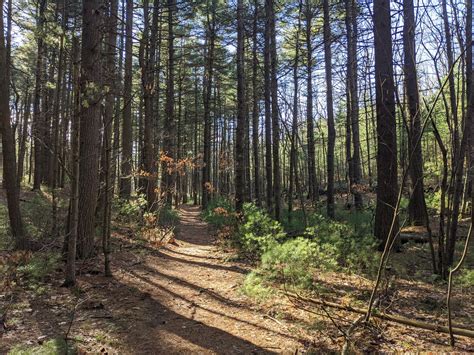 Franklin Matters: Franklin Residents: Trails and Walking Paths to use ...