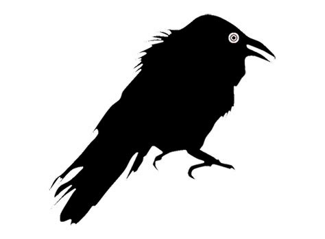 Free Crow Silhouette Images, Download Free Crow Silhouette Images png ...