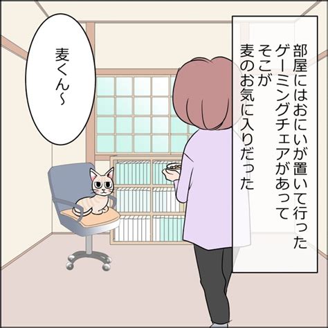 ＜画像22 102＞【ネコ漫画】夢にまでみた「猫との生活」を手にいれた！生きててよかった猫との日常をリアルに描いたネコ漫画に共感の嵐