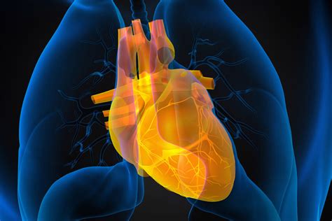 cardiac mitral insufficiency  mitral valve regurgitation explained