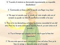 10 Ideas De El Principito El Principito El Principito Frases