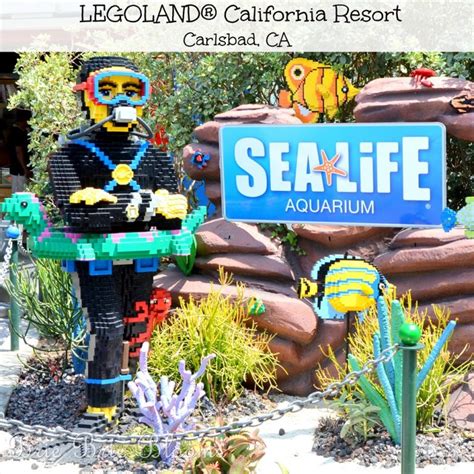 Legoland California Resort Sea Life Aquarium Brie Brie Blooms