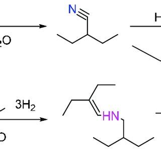 Scheme 16 Reaction Pathway Of 2 Ethyl Butyraldoxime Hydrogenation