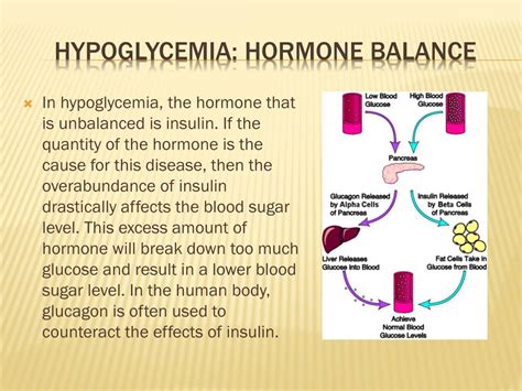 Ppt Hypoglycemia The Truth Powerpoint Presentation Free Download