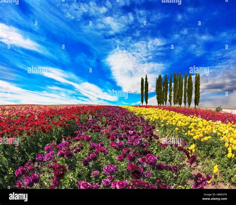 spring day stock photo alamy