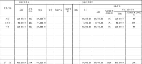 注册资本实收情况明细表有限责任公司股东一次全部出资word文档在线阅读与下载免费文档