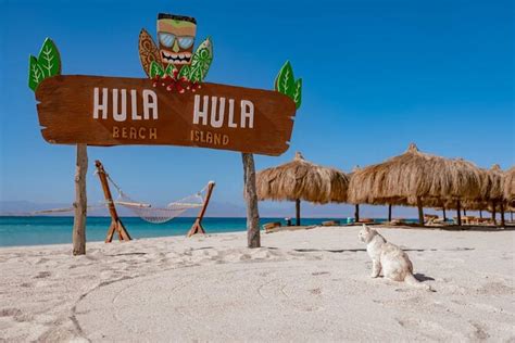 Hula Hula Island Private Speed Boat E Transfer Hurghada Experiência