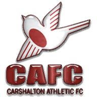 Carshalton Athletic - fixtures, team info and top players