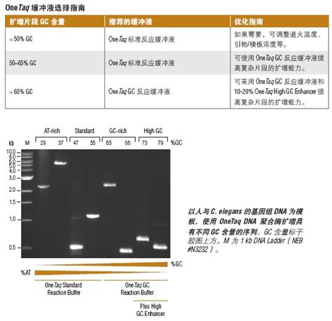 Onetaq X Gc Neb Lumiprobe Lumiprobe