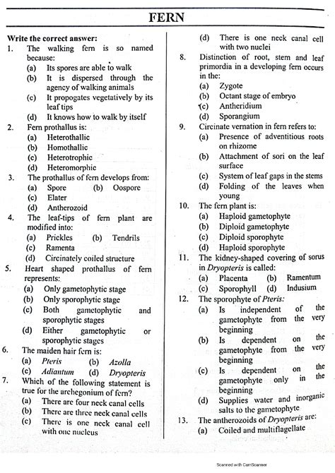 SOLUTION Mcqs On Fern With Answers Pdf Pteridophytes Mcq With Answers