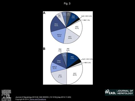 Outcomes In Liver Transplantation Does Sex Matter Ppt Download