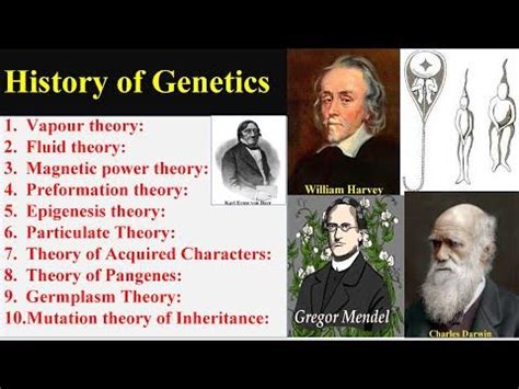 History of Genetics | Preformation theory | Epigenesis theory ...