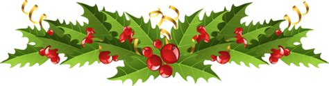 Mistletoe Png Transparent Images