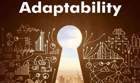 Adaptability Skills