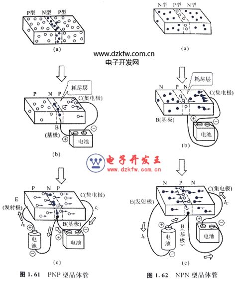 晶体管的工作原理晶体管的基本工作原理