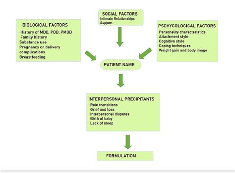 Formulation For Postpartum Depression Mdd Major Depressive Disorder