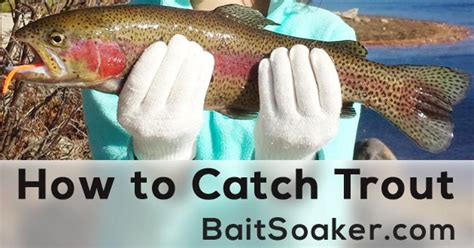 How To Catch Trout