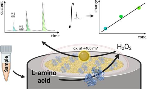 Capacitance Based Biosensor For The Measurement Of Total Loss Of L