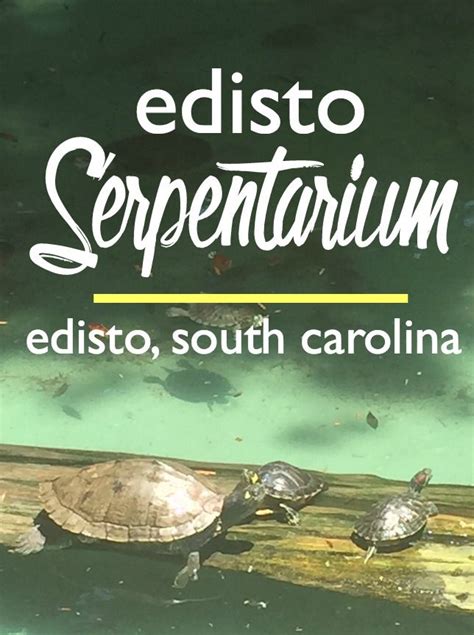 Edisto Serpentarium, Edisto Island, South Carolina | CosmosMariners.com ...