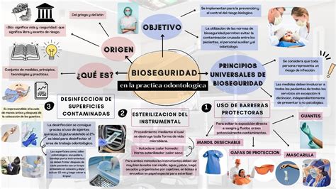 Mapa Conceptual De Microbiologia Formatos The Best Porn Website