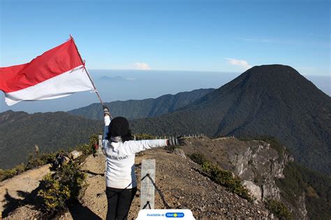 Open Trip Gunung Gede Pangrango Promo Ticket Price