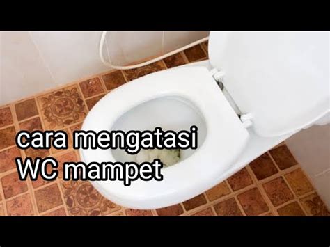 Cara Mengatasi Wc Mampet Roto Rooter Drain Service