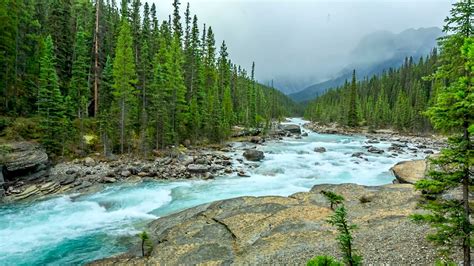 Beautiful Nature River Flowing In Canada 4k Relaxing River Sounds