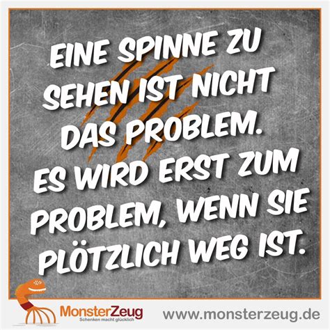 Eine Spinne Zu Sehen Ist Nicht Das Problem Es Wird Erst Zum Problem