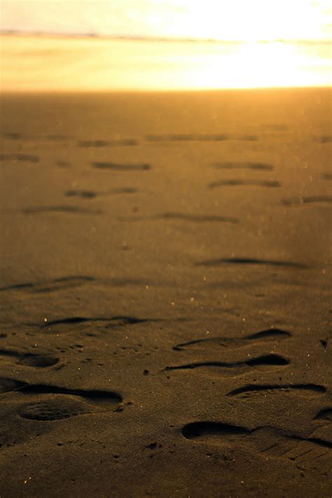 Unsplash Photos, Download The BEST Free Unsplash Stock Photos & HD Images 