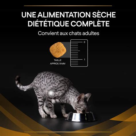 Feline Nf Renal Function Advanced Care Sur Ipet Ch