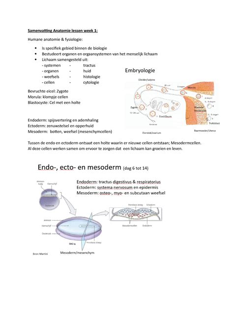 Anatomieles 1 Samenvatting Samenvatting Anatomie Lessen Week 1