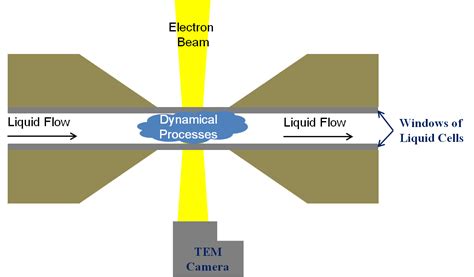 Investigating Dynamic Processes Of Nanomaterials Using In Situ Liquid Phase Tem Technologies