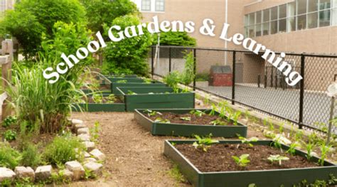 School Gardens And Learning Growing Minds And Healthy Eating Habits