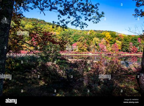 Fall Foliage Harriman State Park New York Stock Photo - Alamy