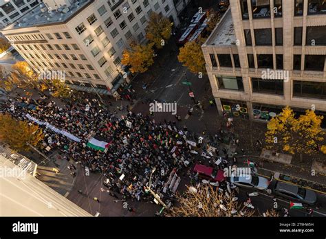 Seattle Estados Unidos De Noviembre De Manifestantes Pro