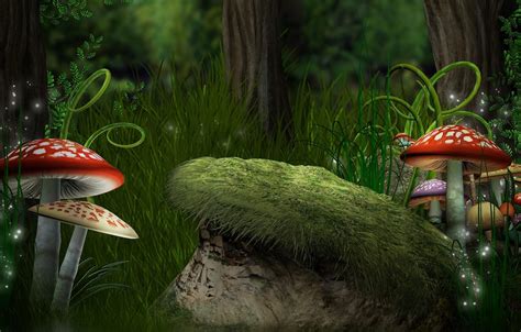 Magic Mushroom Forest Wallpapers Top Free Magic Mushroom Forest