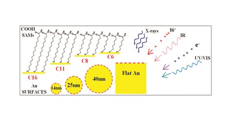 Multitechnique Characterization Of Self Assembled Carboxylic Acid