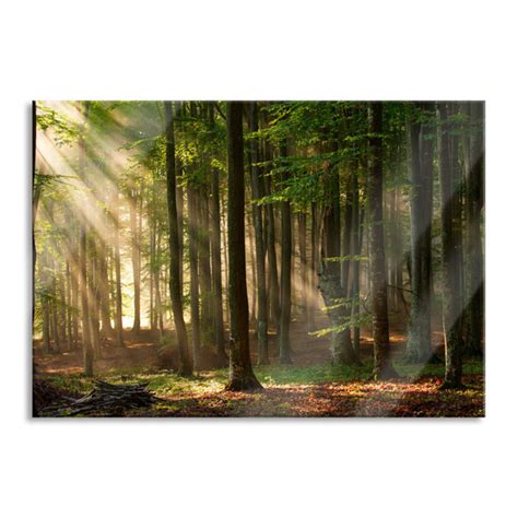 Union Rustic Glasbild Bäume im Wald Wayfair de