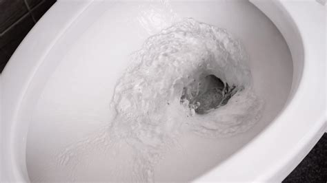 How To Fix A Clogged Toilet