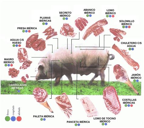 El Cerdo Y Sus Derivados Despiece Del Cerdo