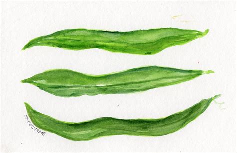 Green Beans Watercolor Painting Original Vegetables 4 X 6 - Etsy